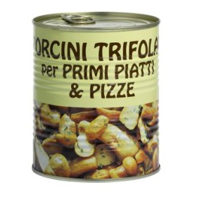 PORCINI TRIFOL.PRIMI PIATTI&PIZZA GR.800